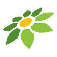 SENSASI138